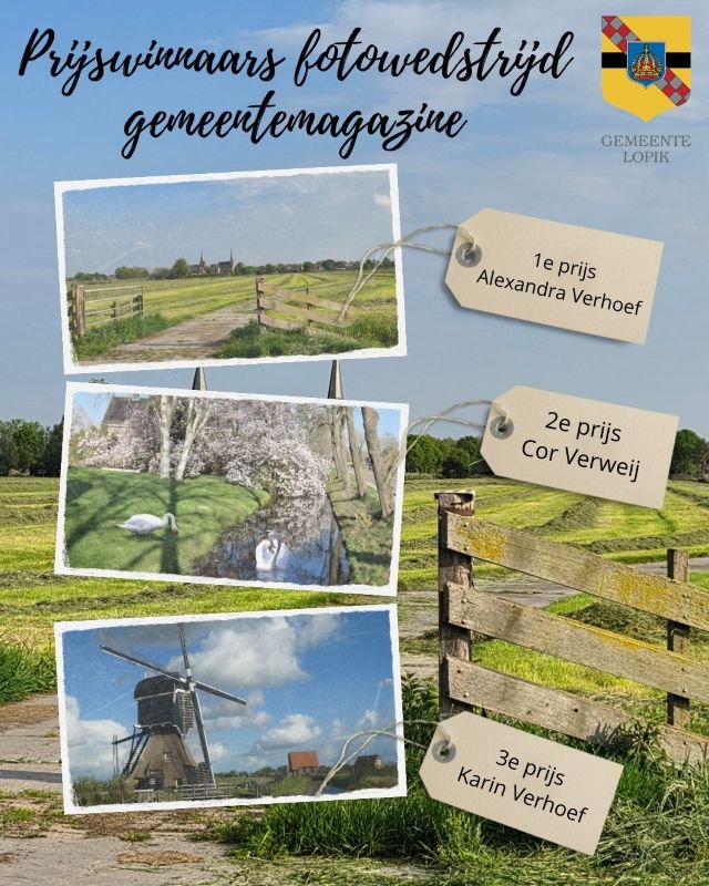 Collage van prijswinnende foto's