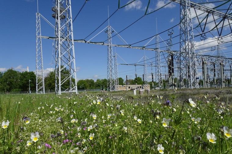 Tennet station hoogspanningsmasten
