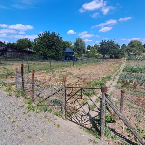 Volkstuin Stevensweert