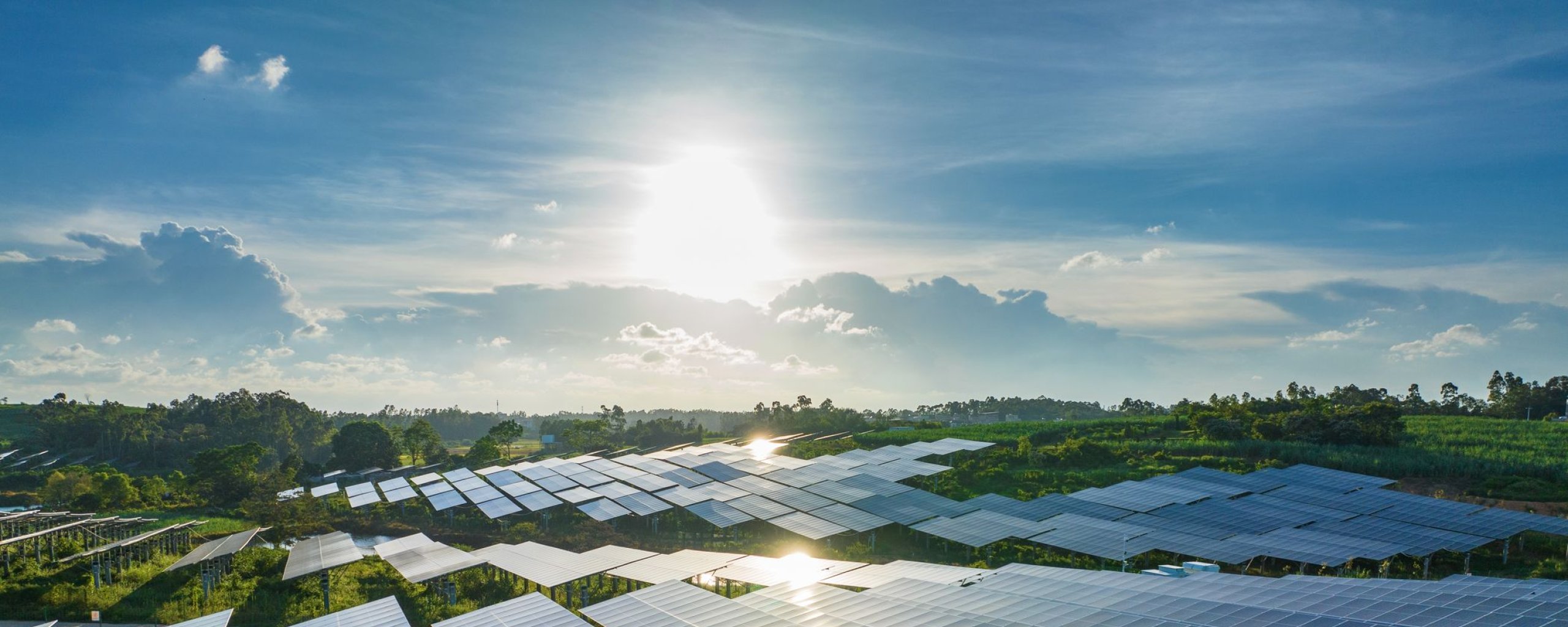 zonnepanelen