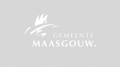 Standaardafbeelding logo Gemeente Maasgouw