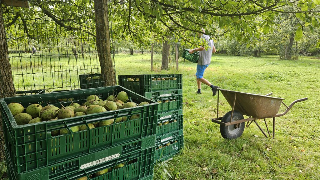 Vrijwilligers met groene vingers