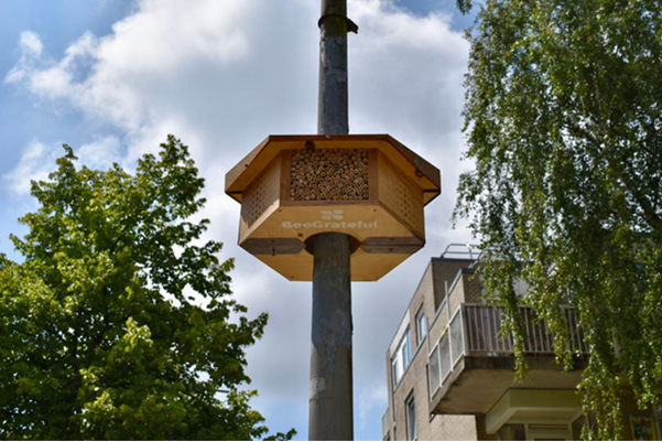 bijenhotel voor great buzzer