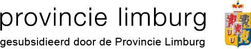 Logo subsidie van provincie limburg