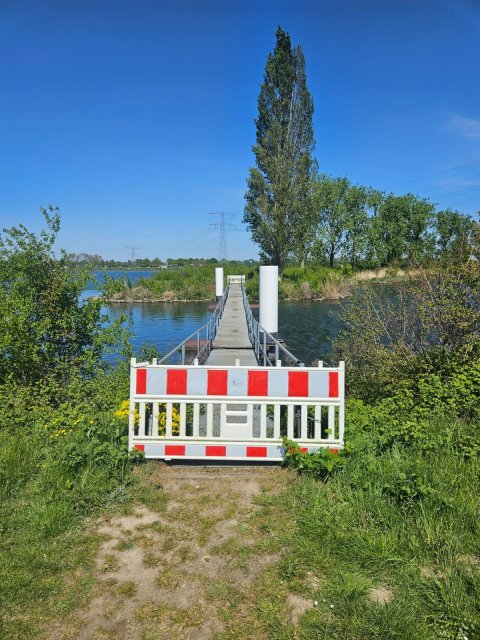 vlonderbrug Maasbracht