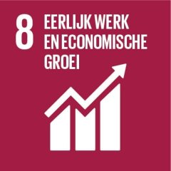 Global Goals 15: eerlijk werk en economische groei