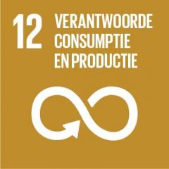 Global Goal 12: verantwoorde consumptie en productie