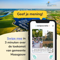 Swipocratie keuzes maken