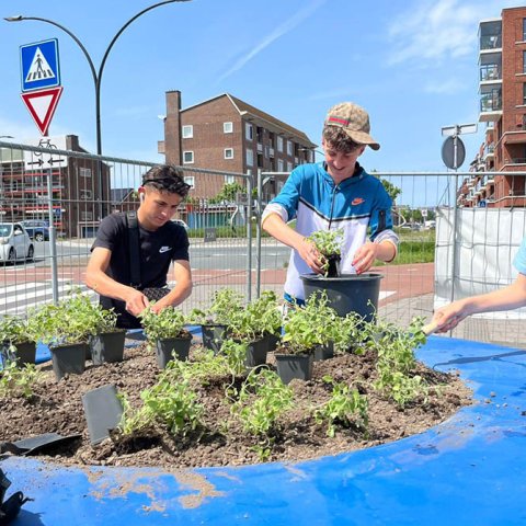 Foto van jongeren die helpen bij het vullen van het plantvak bij Palet