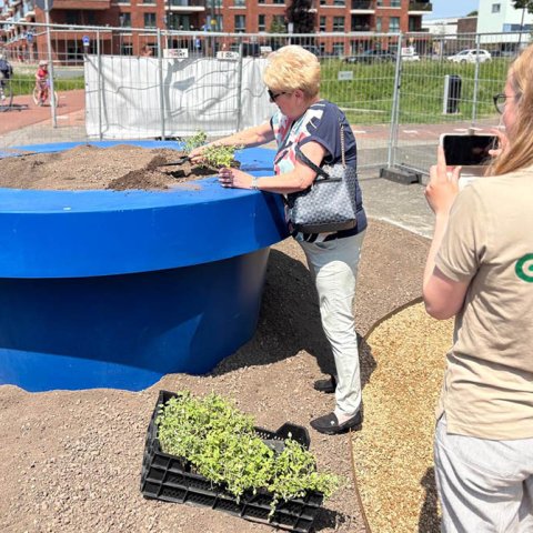 Foto van een mevrouw die helpt bij het vullen van het plantvak bij Palet