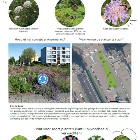 Sfeerbeschrijving en enkele voorbeeldfoto's van het ontwerp Inheems en (bio)divers voor het plantvak bij winkelcentrum Palet