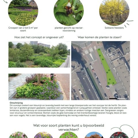 Sfeerbeschrijving en enkele voorbeeldfoto's van het ontwerp Langdurig bloeiende tuin met sterke planten voor het plantvak bij winkelcentrum Palet