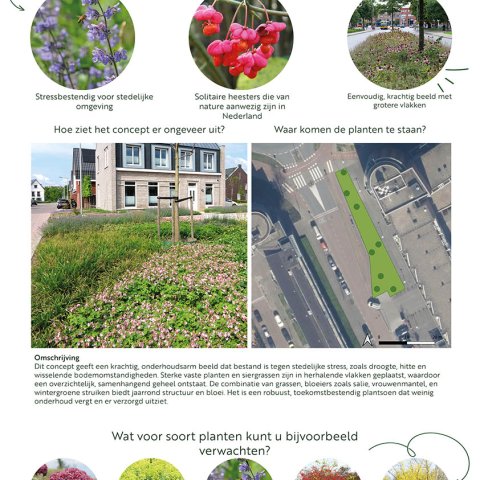 Sfeerbeschrijving en enkele voorbeeldfoto's van het ontwerp Robuust en rustig voor het plantvak bij winkelcentrum Palet