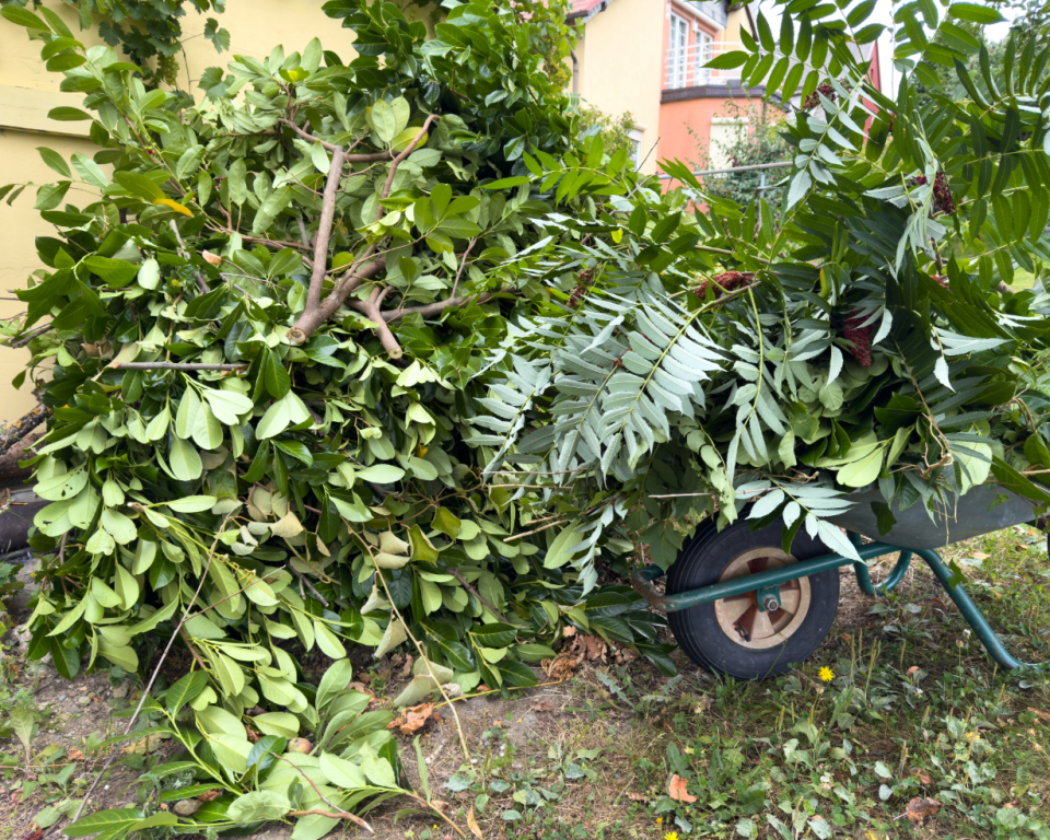 De afbeelding toont tuin- en snoeiafval
