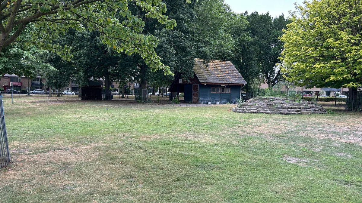 Gemeente en Stichting Dierenhoek 't Sparretje in gesprek over toekomst dierenweide Lepelaarplantsoen