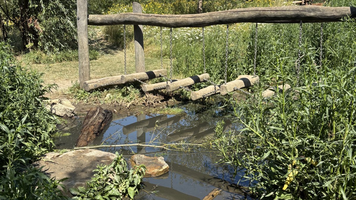 Minder water voor het groen door aanhoudende droogte