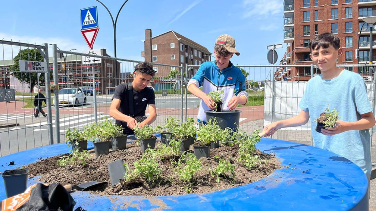 Inwoners helpen met vullen van plantvakken bij Palet