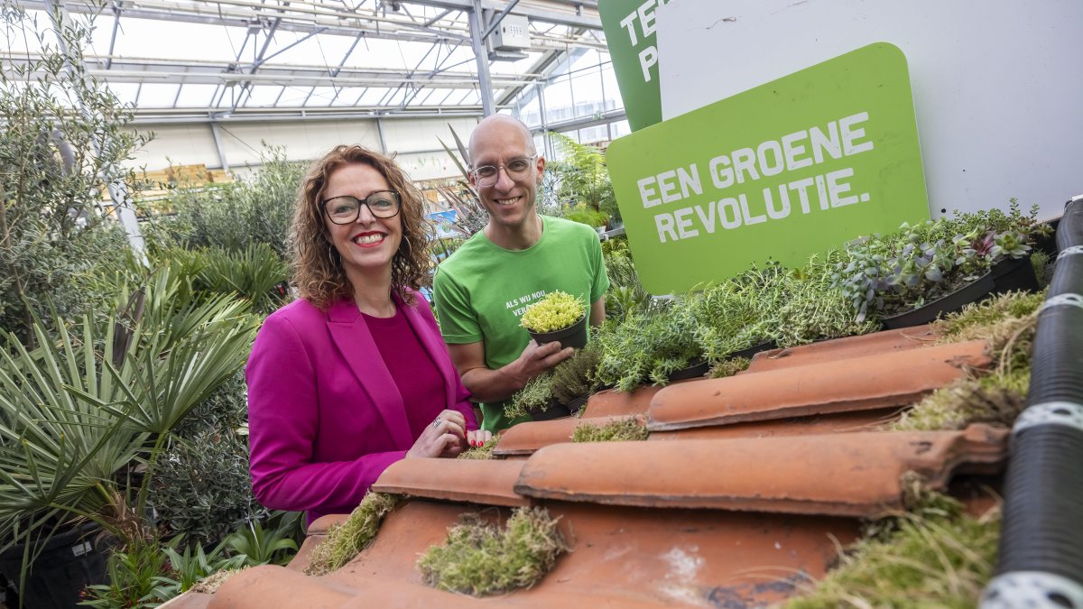 Maassluis maakt het GROENER: Ruil je tegels in voor gratis plantjes bij tuincentrum Boers