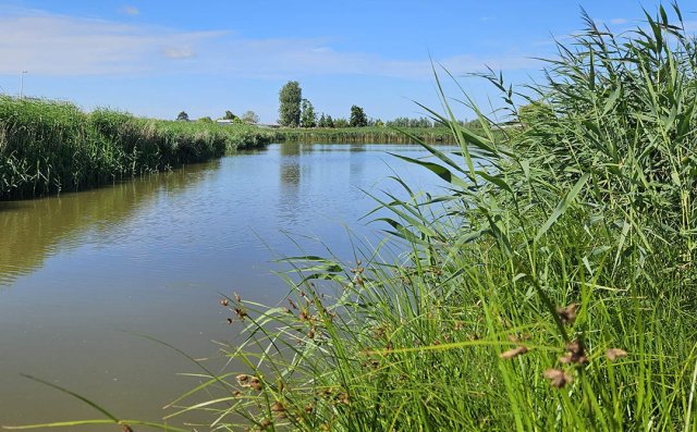 Vaart in gebied van Hoogheemraadschap van Delfland