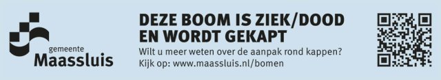 Afbeelding van sticker met de tekst deze boom is ziek/dood en wordt gekapt. Ook staat er een verwijzing op naar de webpagina www.maassluis.nl/bomen