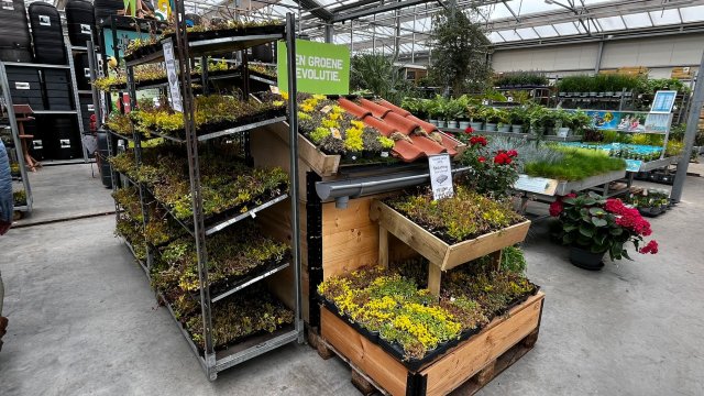 foto van het groen klimaatplein