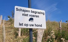 Foto van bord met tekst 'Schapen begrazing, niet voeren. Let op uw hond.