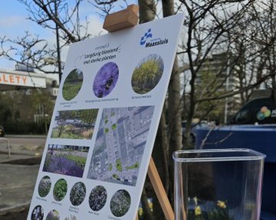 Bord met een groenontwerp