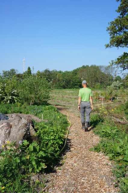 Remko Boers wandelt door de zelfoogsttuin