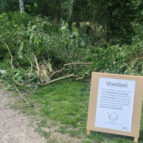  Bij het neergelegde groen op het bolwerk is een bord geplaatst met de tekst: Voedsel: Planten bevatten in de zomer extra voedingsstoffen en energie. Takken en bladeren worden daarom in de zomer geoogst en als voedsel aan de bodem overgedragen. Dit draagt bij aan verrijking van het bodemleven, aan gezonde planten en een toename van biodiversiteit. 