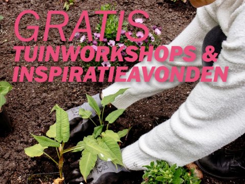 Afbeelding van een tuin met de tekst gratis tuinworkshops & inspiratieavonden, met logo's van gemeenten Vlissingen, Middelburg en Veere