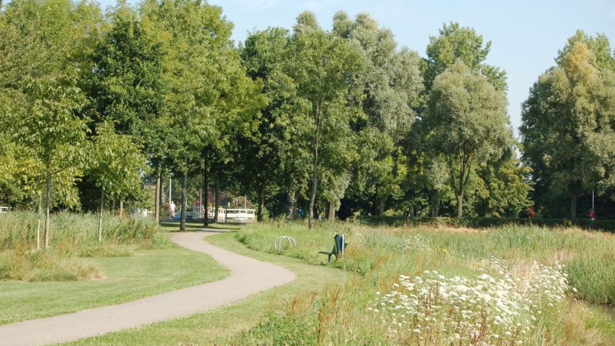 Middelburg start met ecologisch maaibeheer voor bestuivers