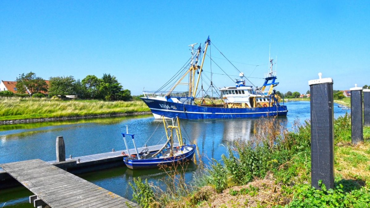 Visserij Ontwikkel Plan Arnemuiden