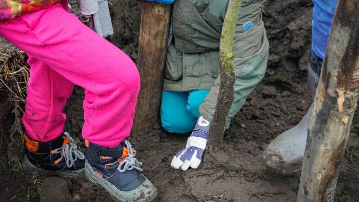 Onthulling bordje bij Seismolen tijdens Boomfeestdag