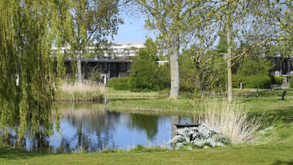 Definitief ontwerp Hart van Griffioen door B&W vastgesteld