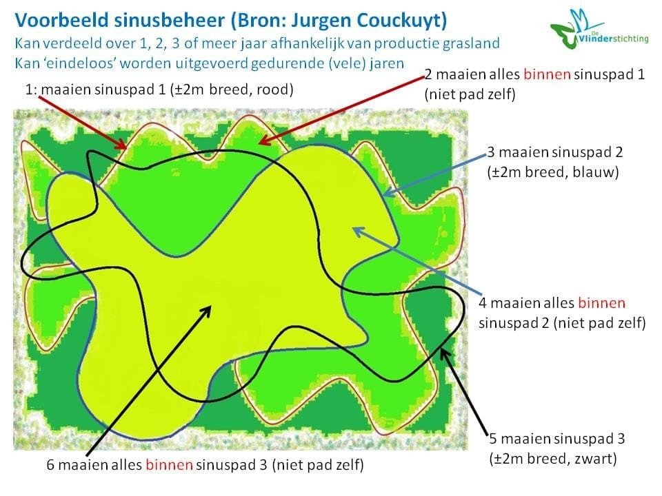 Kaart met de tekst: Voorbeeld sinusbeheer (bron: Jurgen Couckuyt) Kan verdeeld over 1,2,3 jaar of meer afhankelijk van productie grasland. Kan 'eindeloos' worden uitgevoerd gedurende (vele) jaren). 1. maaien sinuspad 1 (plusminus 2m breed, rood). 2 maaien alles binnen sinuspad 1 (niet pad zelf). 3 maaien sinuspad 2 (plusminus 2m breed, blauw). 4 maaien alles binnen sinuspad 2 (niet pad zelf). 5 maaien sinuspad 3 (plusminus 2m breed, zwart). 6 maaien alles binnen sinuspad 3 (niet pad zelf)