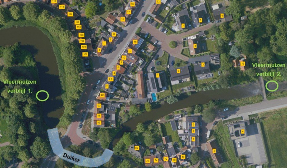 Kaart van Veersesingel met aanduiding vleermuizenverblijven aan weerszijden van de duiker