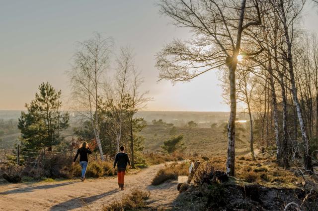 natuurfoto met bomen en een vergezicht met 2 wandelaars op een pad.