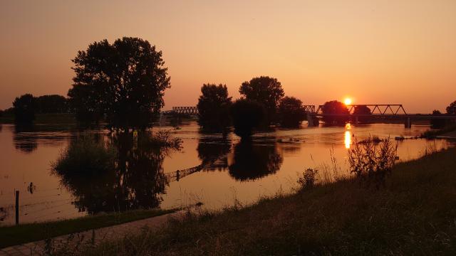 bomen in het hoge water met een oranje gloed door de ondergaande zon.