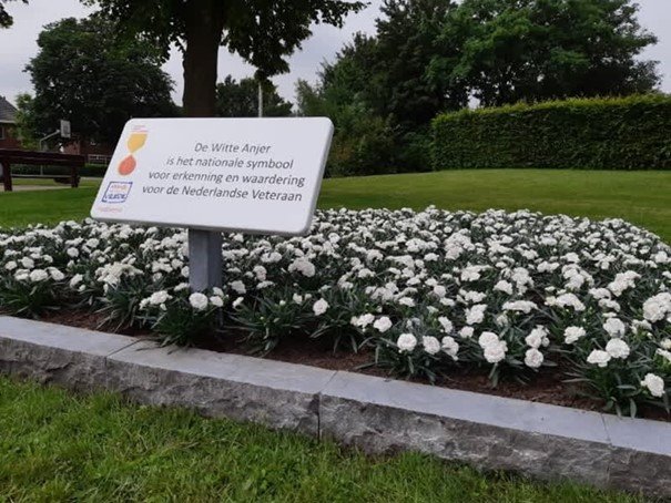 In een perk met witte bloemen staat een bord met de tekst ‘De witte anjer’ is het nationaal symbool voor erkenning en waardering voor de Nederlandse veteraan.’