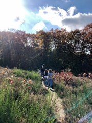 Foto van een wandeling op de hei
