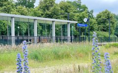 Foto van Station Mook Molenhoek met op de voorgrond bloemen