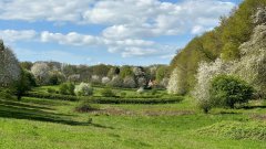 Foto van een vergezicht (weilanden, heggen en bomen) in het Zevendal