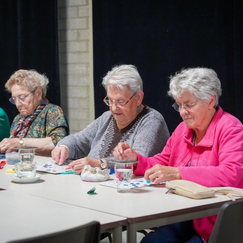 Kienen in Nederweert