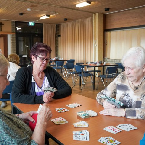 Kaarten in Budschop 