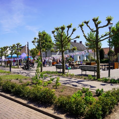 Verfraaing Aerthijsplein Ospel