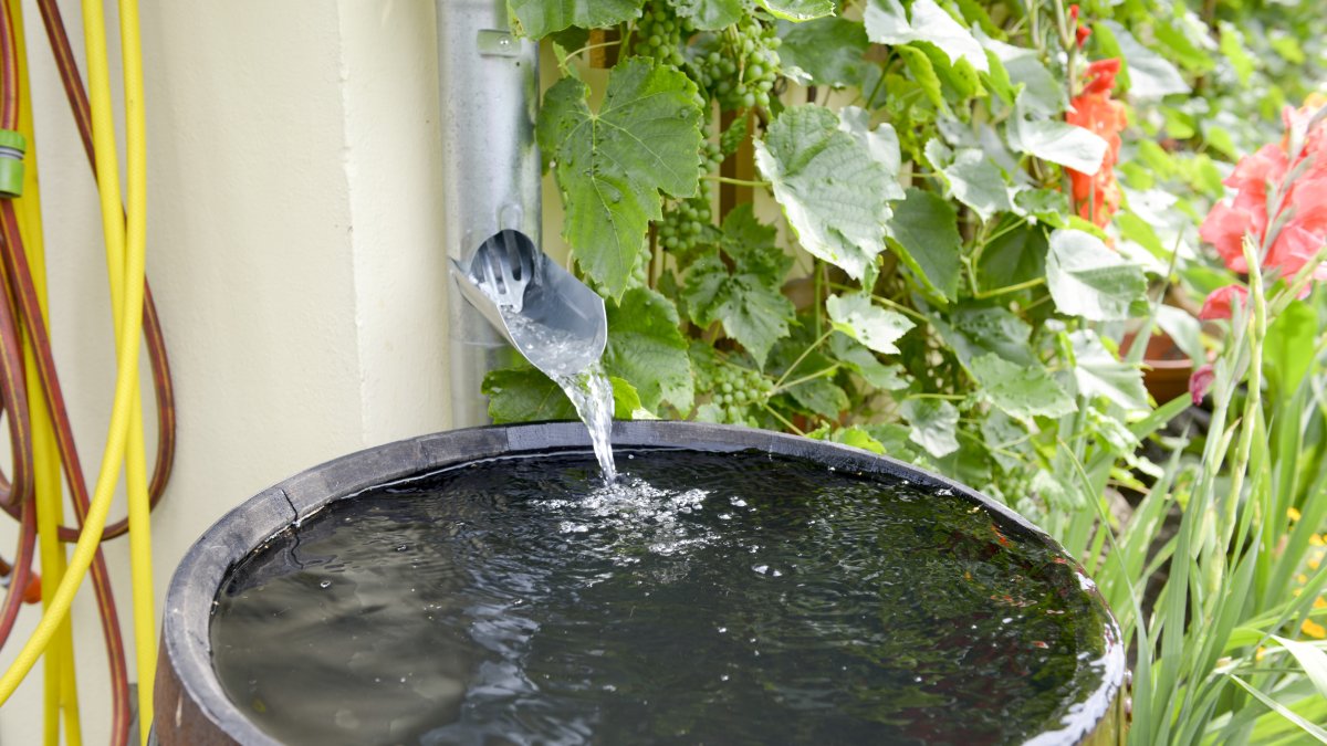 Maak je tuin Waterklaar!