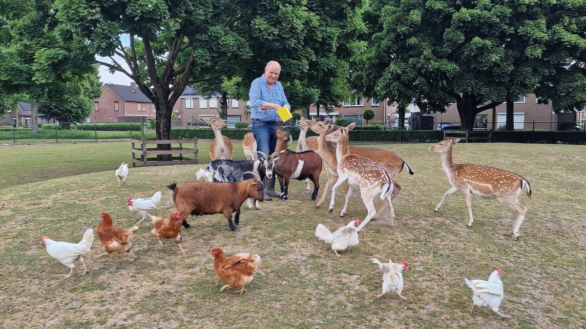 25 mei opening gerenoveerde Dierenweide WEST - Florastraat