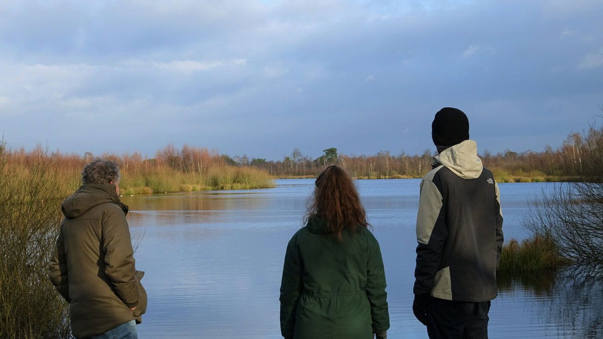 Beleef de stilte in Nationaal Park De Groote Peel