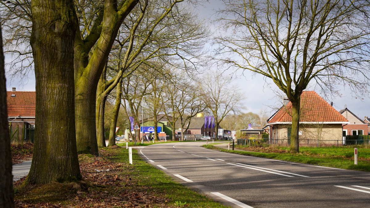 Groot asfaltonderhoud aan Houtsberg