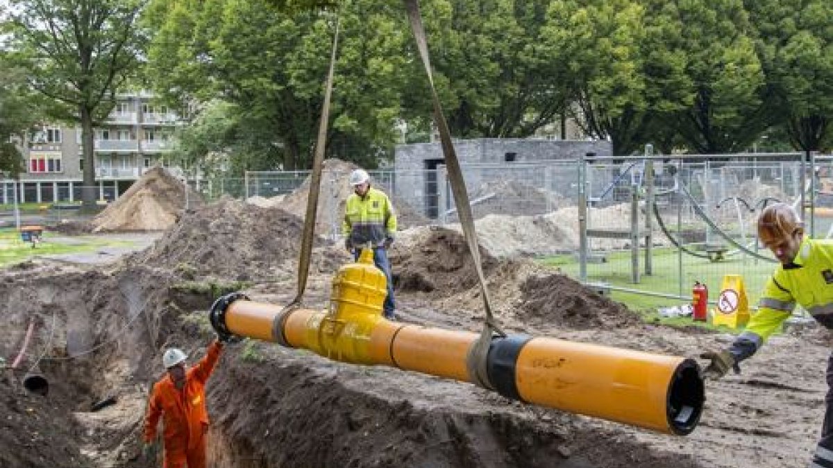 Werken met zorg voor groen: verplaatsing bomen aan Klaarstraat